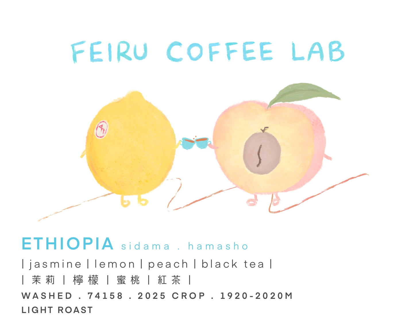 Ethiopia • 茉莉ㅣ檸檬ㅣ蜜桃ㅣ紅茶 • Washed • 74158