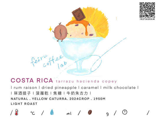 Costa Rica • 冧酒提子ㅣ鳳梨乾ㅣ焦糖ㅣ牛奶朱古力 • Natural • Yellow Caturra