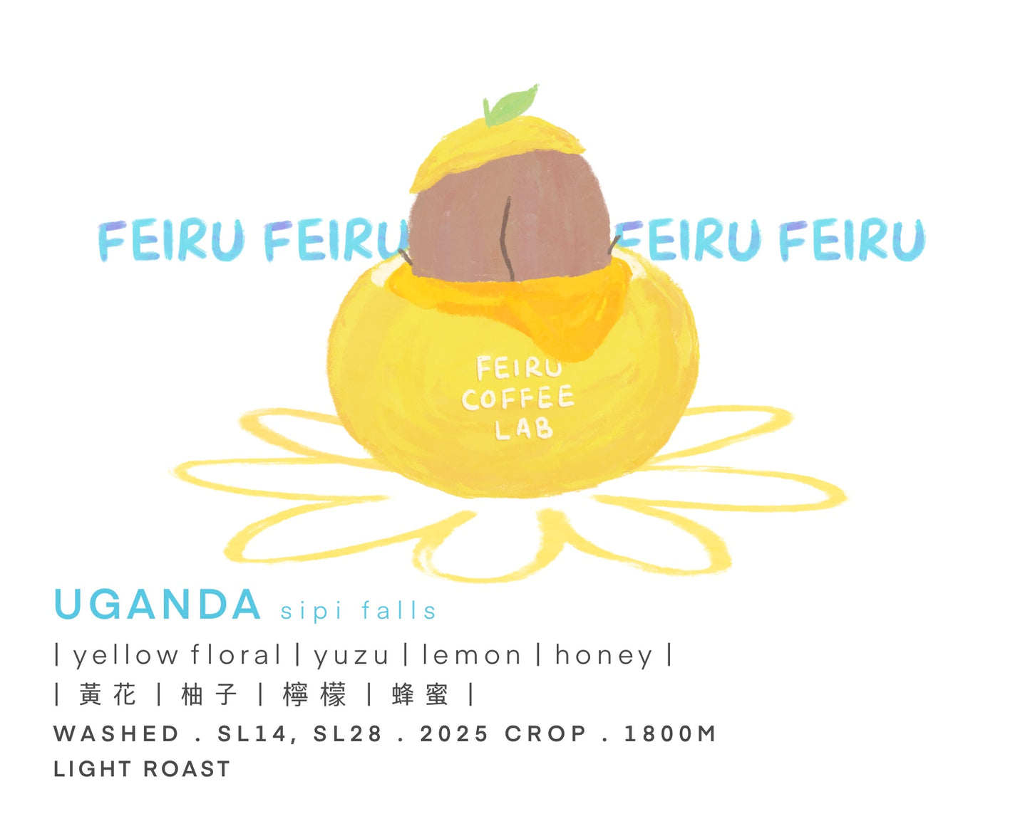 Uganda • 黃花ㅣ柚子ㅣ檸檬ㅣ蜂蜜ㅣ • Washed • SL14 / SL28
