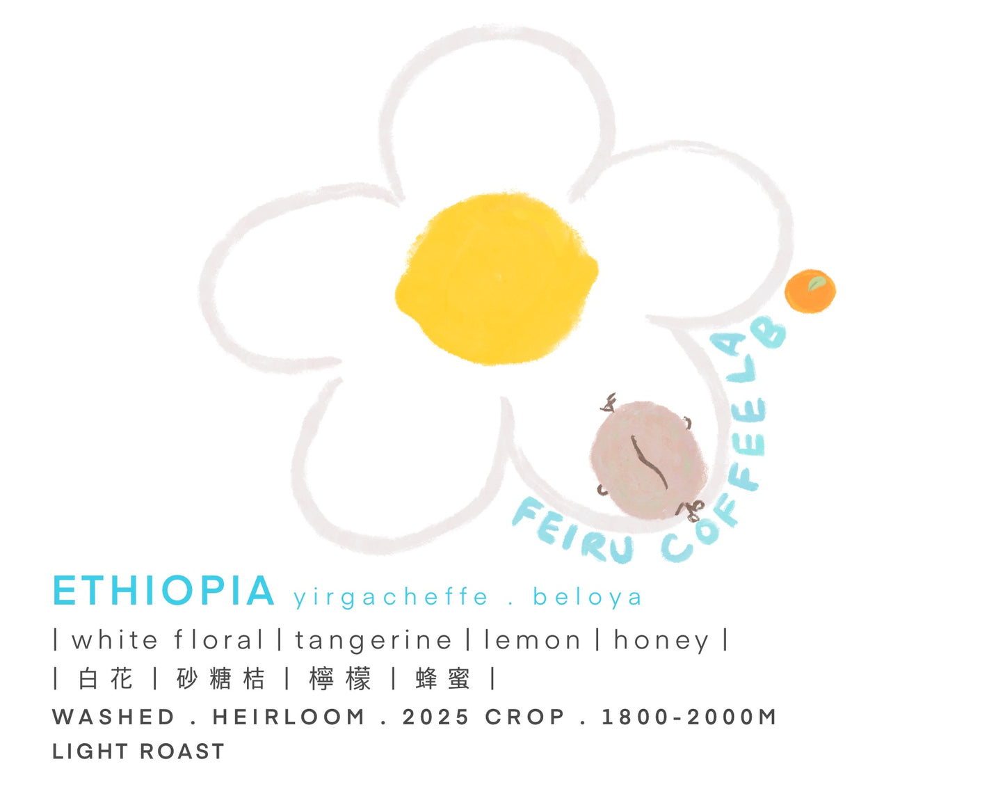 Ethiopia • 白花ㅣ砂糖桔ㅣ檸檬ㅣ蜂蜜 • Washed • Heirloom