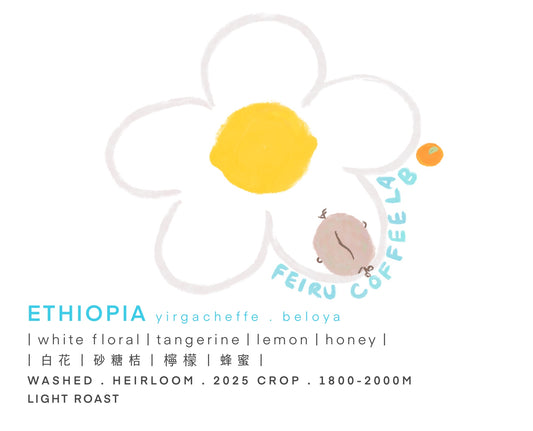 Ethiopia • 白花ㅣ砂糖桔ㅣ檸檬ㅣ蜂蜜 • Washed • Heirloom