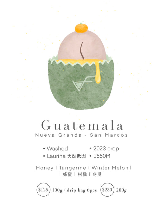 Guatemala • Washed • Laurina 天然低因  | 蜂蜜丨柑橘丨冬瓜丨