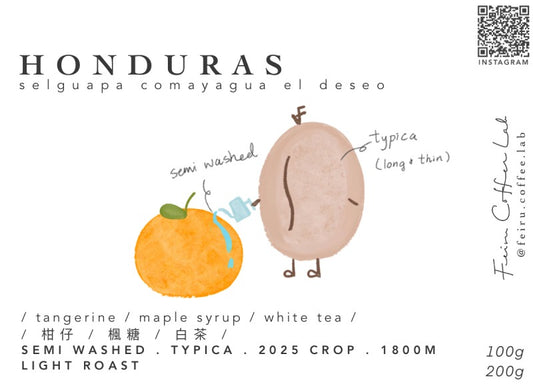 Honduras • ㅣ柑仔ㅣ楓糖ㅣ白茶ㅣ • Semi washed • typica