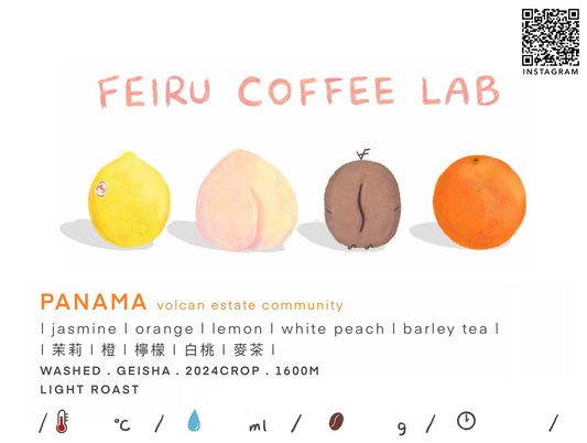 Panama • 茉莉ㅣ橙ㅣ檸檬ㅣ白桃ㅣ麥茶 • washed • Geisha