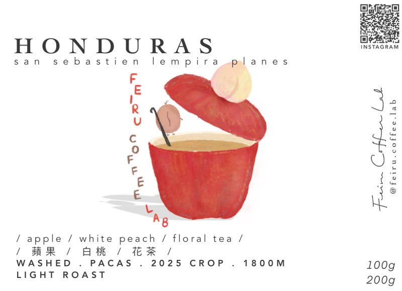 Honduras • ㅣ蘋果ㅣ白桃ㅣ花茶ㅣ• washed • Pacas