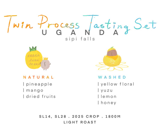 [嚐嚐處理法set] Uganda • Natural vs Washed • SL14 & SL28