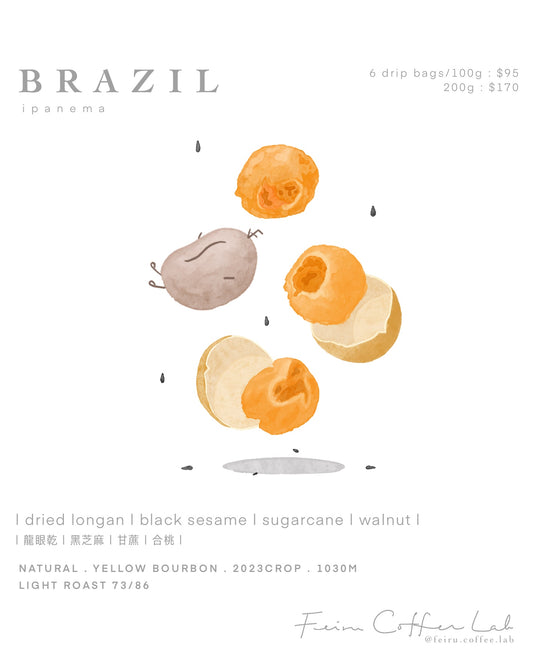 Brazil • Natural • Yellow Bourbon | 龍眼乾 | 核桃 | 焦糖 | 甘蔗 |