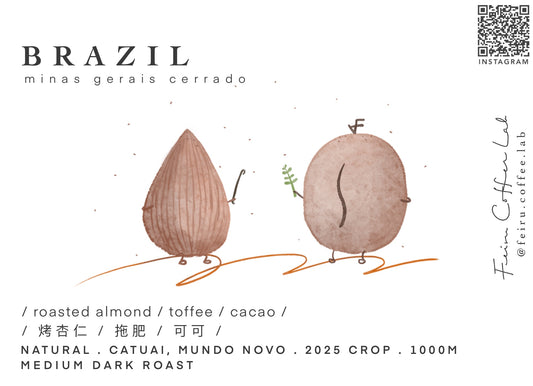 Brazil • ㅣ烤杏仁ㅣ拖肥ㅣ可可ㅣ • Natural • Catuai , Mundo Novo