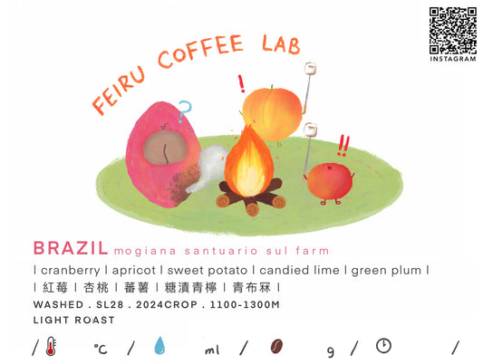 Brazil • 紅莓ㅣ杏桃ㅣ蕃薯ㅣ糖漬青檸ㅣ青布冧 • Washed • SL28