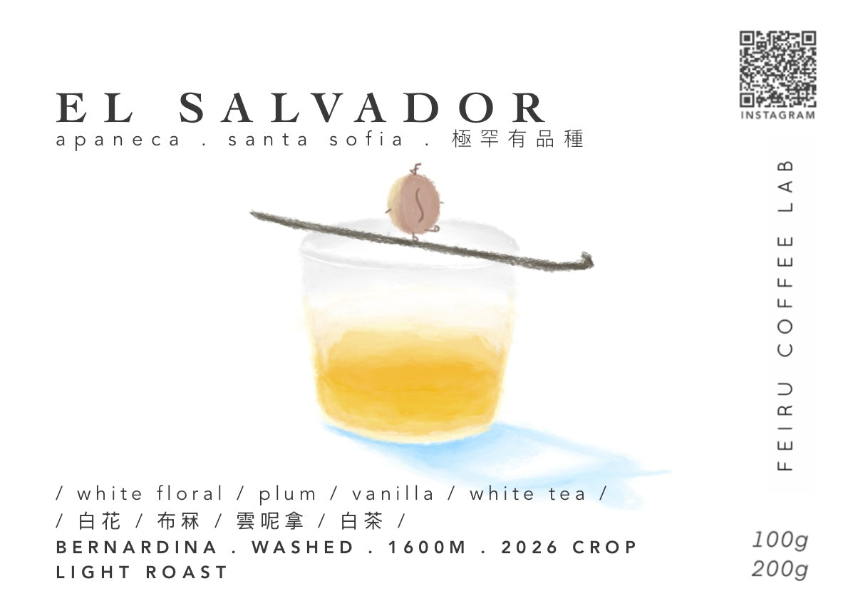 [稀有品種] EL SALVADOR • ㅣ白花ㅣ布冧ㅣ雲呢拿ㅣ白茶ㅣ• washed • bernardina