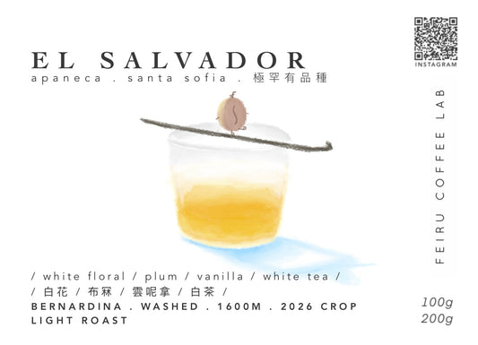 [稀有品種] EL SALVADOR • ㅣ白花ㅣ布冧ㅣ雲呢拿ㅣ白茶ㅣ• washed • bernardina