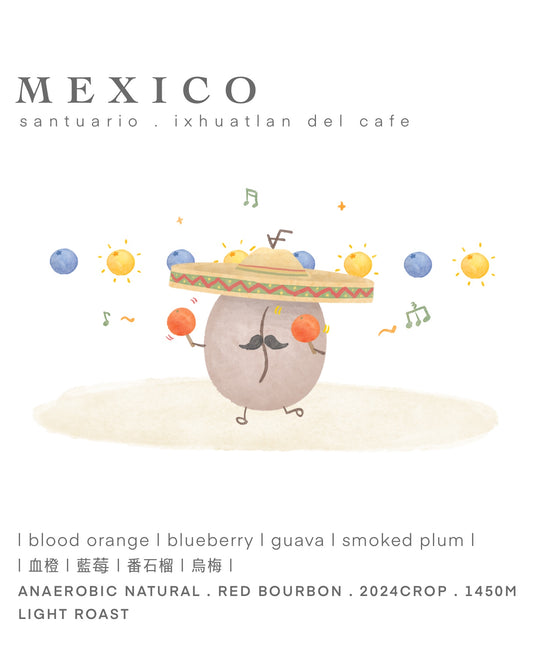 Mexico • 血橙 l 藍莓 l 番石榴 l 烏梅 • anaerobic natural • red bourbon