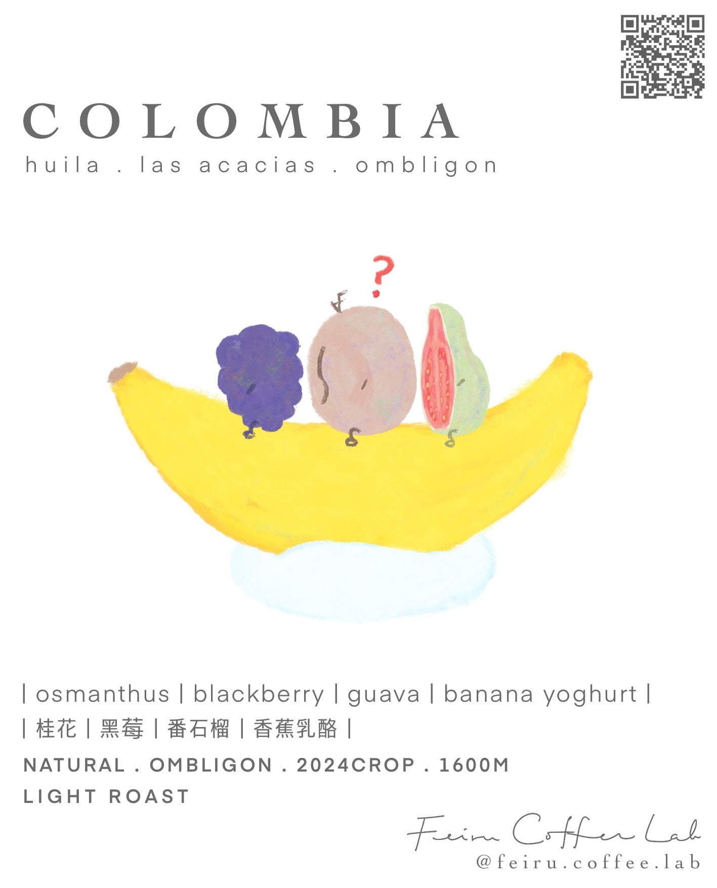 Colombia • 桂花ㅣ黑莓ㅣ番石榴ㅣ香蕉乳酪  • natural • ombligon