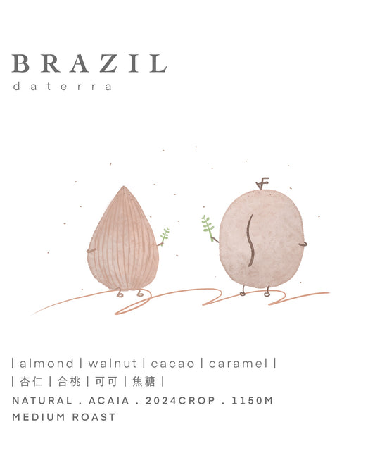 Brazil • [NUTTY] 杏仁ㅣ合桃ㅣ可可ㅣ焦糖 • natural • acaia