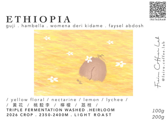 Ethiopia • ㅣ黃花ㅣ桃駁李ㅣ檸檬ㅣ荔枝ㅣ • triple fermentation washed • heirloom